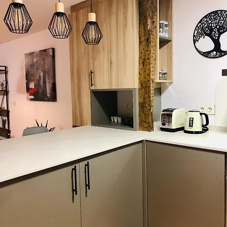 Lägenhet Atuaire Visita Museo De La Evolucion Humana En Parking Incluido