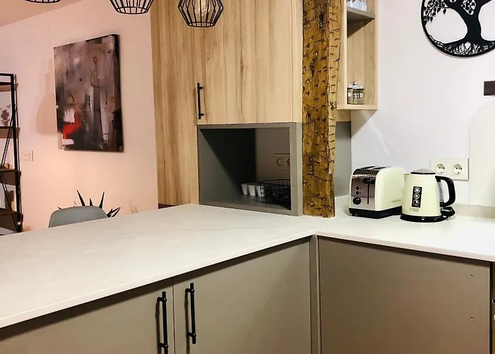 아파트 Atuaire Visita Museo De La Evolucion Humana En Parking Incluido