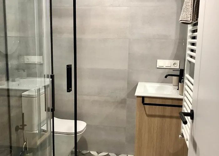 Atuaire Visita Museo De La Evolucion Humana En Parking Incluido Burgo