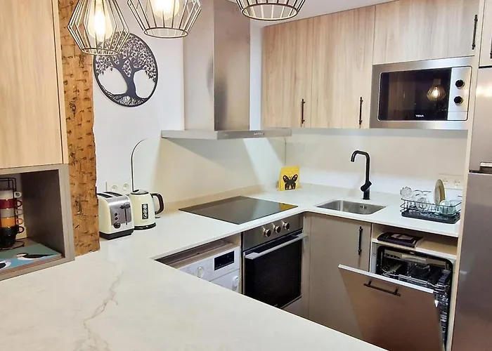 Atuaire Visita Museo De La Evolucion Humana En Parking Incluido *