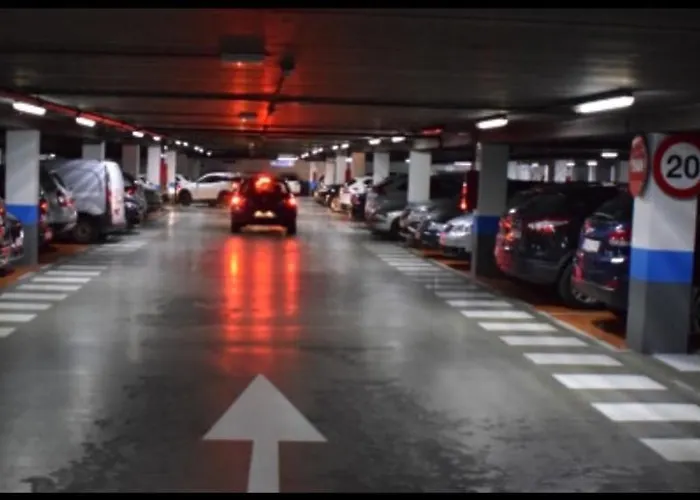 Atuaire Visita Museo De La Evolucion Humana En Parking Incluido